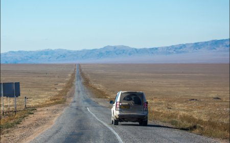 Минтранс начнёт внутреннюю проверку после критики президента