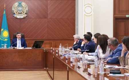 Премьер Бектенов обсудил с экспертами вопрос оптимизации неприоритетных расходов