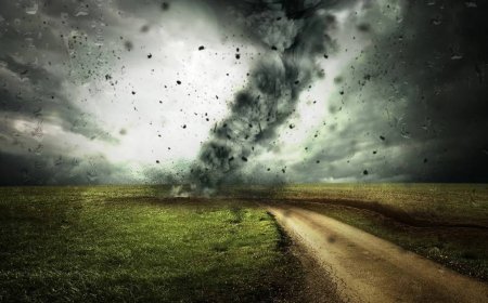 Торнадо обрушился на США: есть погибшие