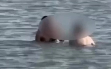 Теміртауда жұрттың көзінше жыныстық қатынасқа түскен адам жазаланды