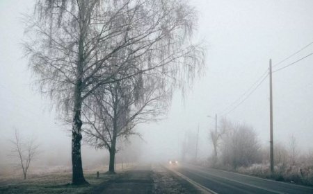 Грозы, шквалы и пыльные бури: «Казгидромет» объявил штормовое предупреждение по Казахстану