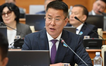 «Бүкіл елдің байлығын ұрлап жатыр»: депутат Самқұрық-Қазынаның таратылуын талап етті