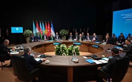 Тоқаев Түркі мемлекеттері ұйымының бейресми саммитіне қатысты