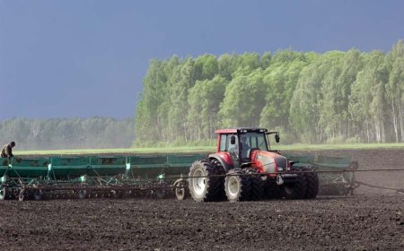 Фермеры получили миллиарды на весенние работы
