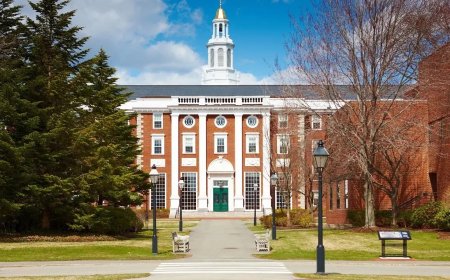 Гарварду запретили принимать иностранных студентов