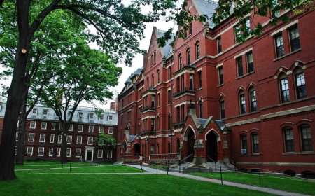 Казахстанские студенты могут покинуть Гарвард: Миннауки направило запросы