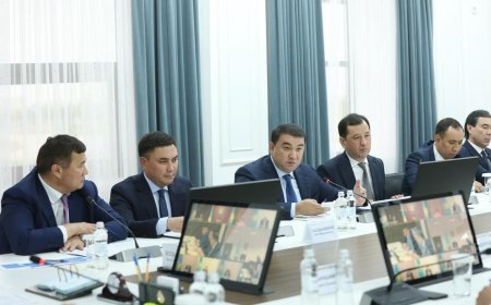 Заместитель Премьер-министра Бозумбаев провёл совещание с акимами южных регионов