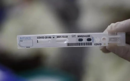 Во Франции впервые выявлено четыре случая нового варианта COVID-19