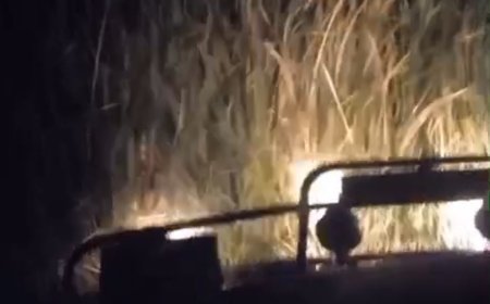 В Костанайской области двое подростков заблудились в камышах во время поисков скота