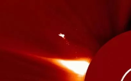 Ғалымдар күннің жанынан жерден он есе үлкен алып құстың бейнесін байқады