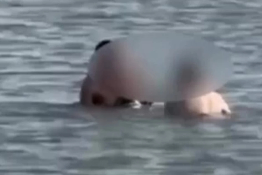 Әжетханада анамен жыныстық қатынас