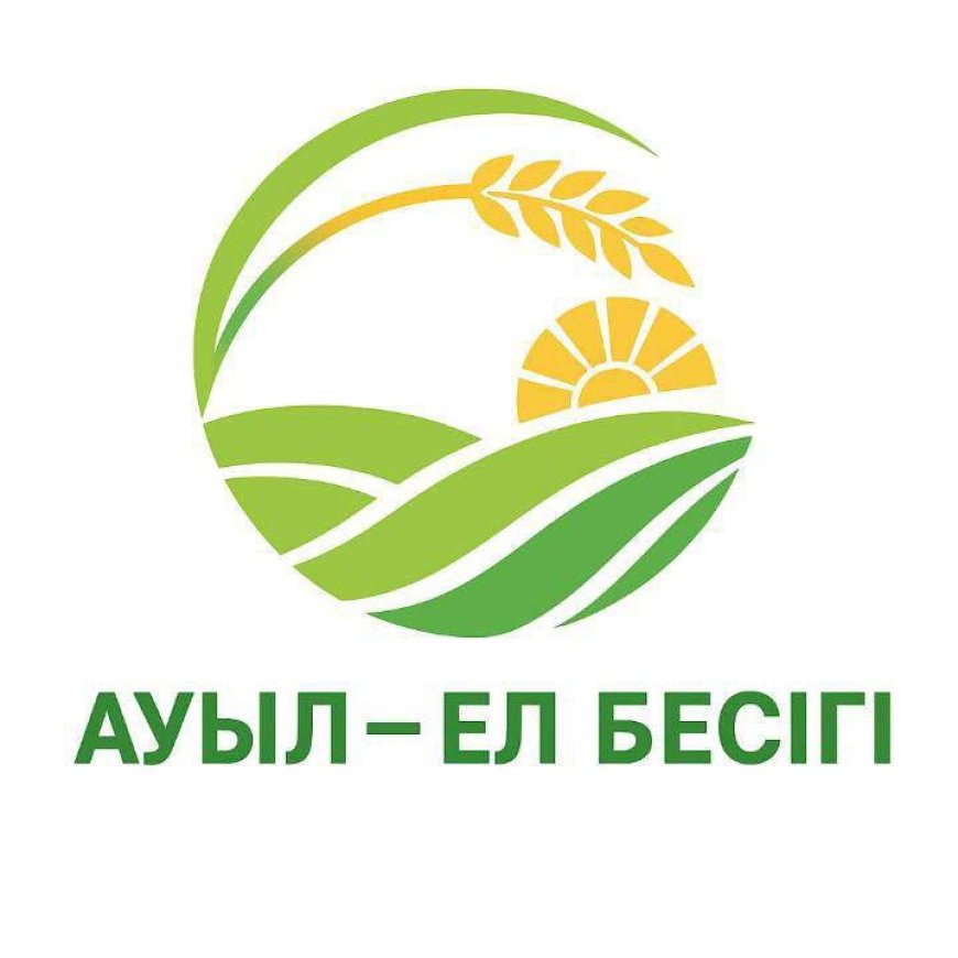 В селах Казахстана реализуют тысячу новых проектов на 176,4 млрд тенге