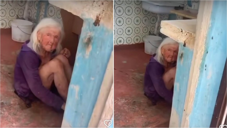 «Үйдің іші нәжіске, тарақанға толы»: Шымкентте тыл еңбеккері жылдар бойы адам төзгісіз жағдайда өмір сүріп келген