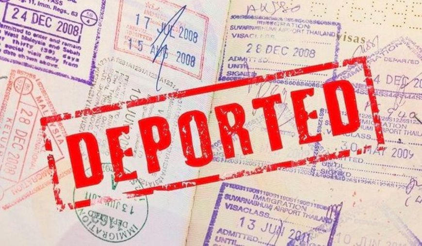 США начали депортировать мигрантов по программе «самодепортации»