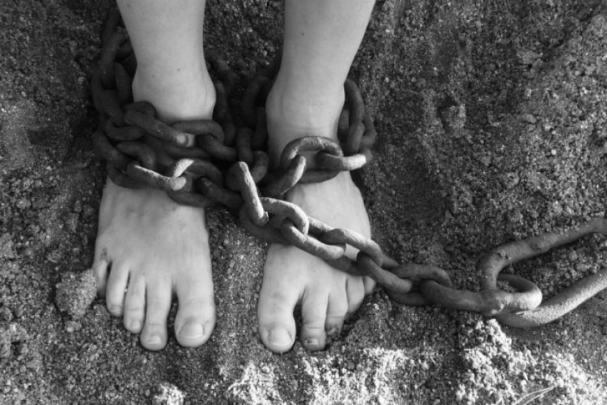 Анасы 12 жастағы қызын адам жалдап өлтіртпек болды
