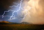 Өрісте найзағай түсіп, әкесі мен ұлы қаза тапты