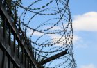 К 30-летию Конституции в Казахстане планируется амнистия
