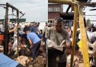 «Мынадан кейін құрбандық қалай қабыл болады»: Желі қолданушысы сұмдық кадрлармен бөлісті
