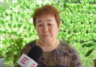 «60 млн төлей алмаймыз»: Абзал Шынасылдың анасы ашық сөйледі