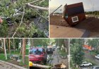 Павлодар облысындағы сойқан дауыл: 1 адам қаза тауып, 16 адам зардап шекті