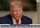 Трамп: TikTok-ты сатып алуға өте ауқатты адамдар тобы дайын