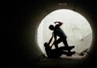 «Есінен танғанша сабаған». Ақмола облысында түлекті аяусыз ұрып, көлікпен қағып өтпек болғандар жайлы тың дерек шықты