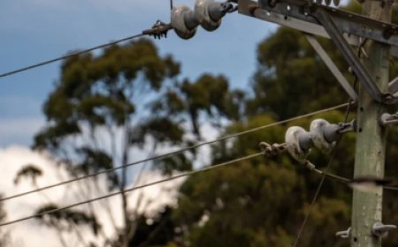 Конаевтағы демалыс базасында 11 жастағы баланы ток соғып, көз жұмды