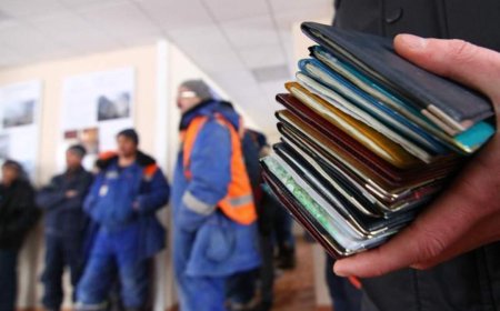 Минтруда перераспределяет квоты на иностранных работников между юрлицами и физлицами