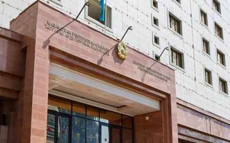 Итоги госуадитов в 2024 году обернулись уголовными делами