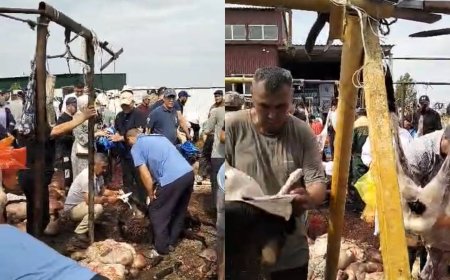 «Мынадан кейін құрбандық қалай қабыл болады»: Желі қолданушысы сұмдық кадрлармен бөлісті