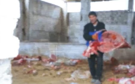 Қыдырып барғандар абай болсын: Ташкентте есектің етінен самса жасап сату жиілеген