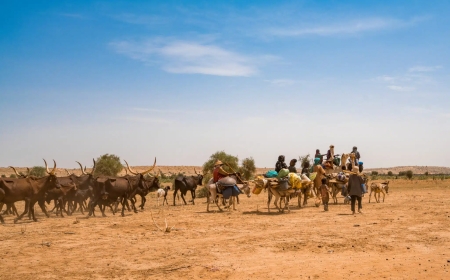 Нигерияда қарулы топ 100-ге жуық адамды тірідей өртеп жіберді