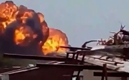 Үндістандағы ұшақтың не себепті құлағаны белгілі болды (ВИДЕО)