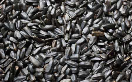 Петропавлда 2 жастағы сәби шемішкеге қақалып шетінеп кетті