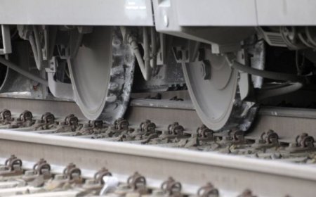 Алматы маңында екі адамды пойыз басып кетті