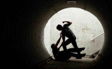 «Есінен танғанша сабаған». Ақмола облысында түлекті аяусыз ұрып, көлікпен қағып өтпек болғандар жайлы тың дерек шықты