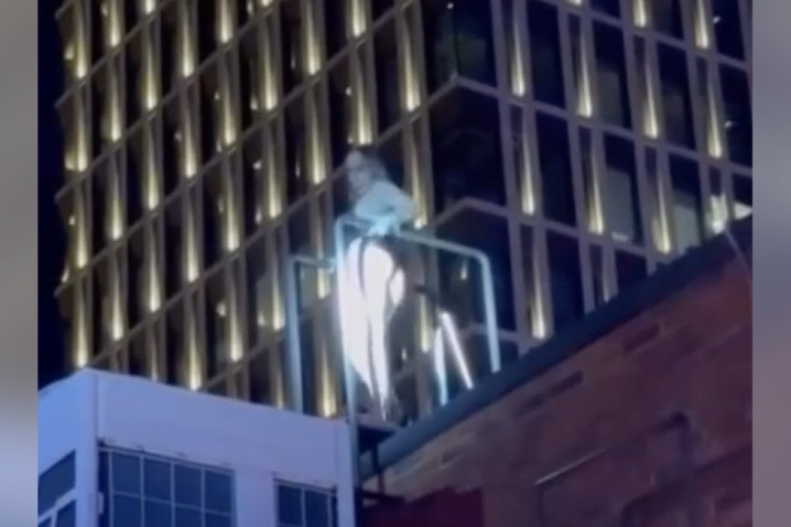 Әдемі қыздар мен студенттер секс