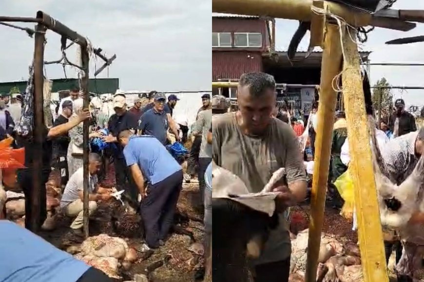 «Мынадан кейін құрбандық қалай қабыл болады»: Желі қолданушысы сұмдық кадрлармен бөлісті