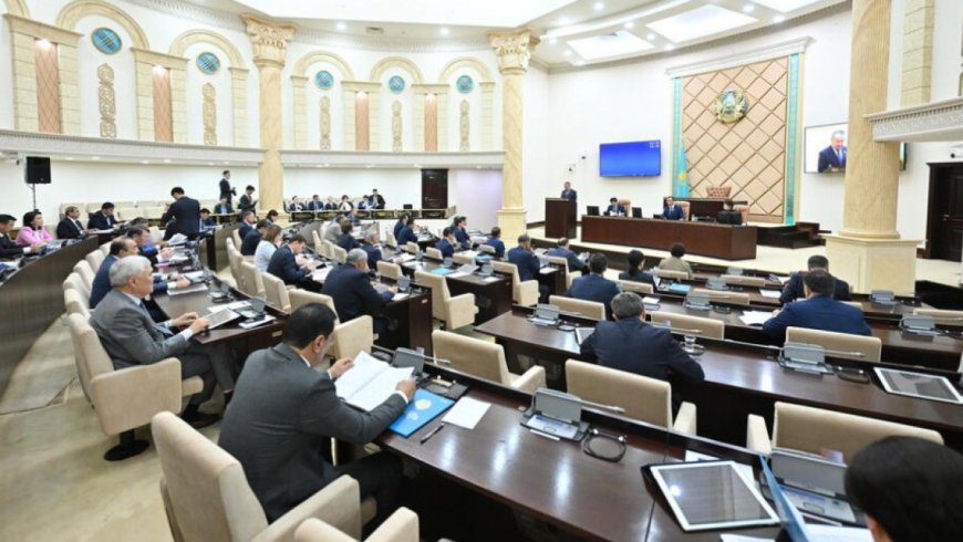 Сенат жаңа Салық кодексін кері қайтарды