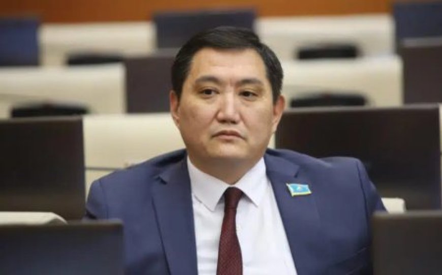 Депутат кейбір министрліктерді біріктіріп, мемқызметкерлерді қысқартуды ұсынды