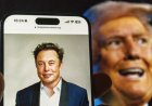 «Африкаңа қайт»: Трамп пен Маск тағы жанжалдасып қалды