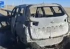 Балқаш маңында жеті адам тірідей жанып кетті