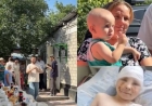 Иттердің шабуылынан зардап шеккен Максимнің отбасы баспаналы болды