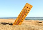 Елімізде алдағы бірнеше тәулікте 42 градус ыстық болады