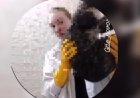 Риддерде 17 жастағы қыз ит-мысықты сойып, олардан сувенир жасап отырған (ВИДЕО)