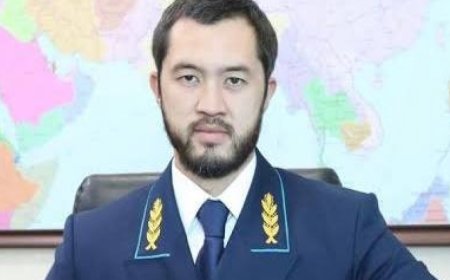 «Кезінде Рахат Әлиев пен Дариға Назарбаеваға қызмет қылғандардың ұрпақтары билікке келіп жатыр» - журналист