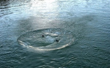 Белгілі боксшы Ыстықкөлде суға батып көз жұмды