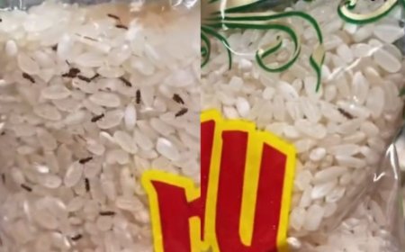 «Жыбырлап жүр»: Magnum дүкенінде құрттаған күріш сатылып жатыр (ВИДЕО)