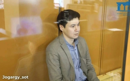 Бишімбаевтың інісі мерзімінен ерте шығуға өтініш берді