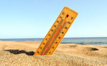 Елімізде алдағы бірнеше тәулікте 42 градус ыстық болады